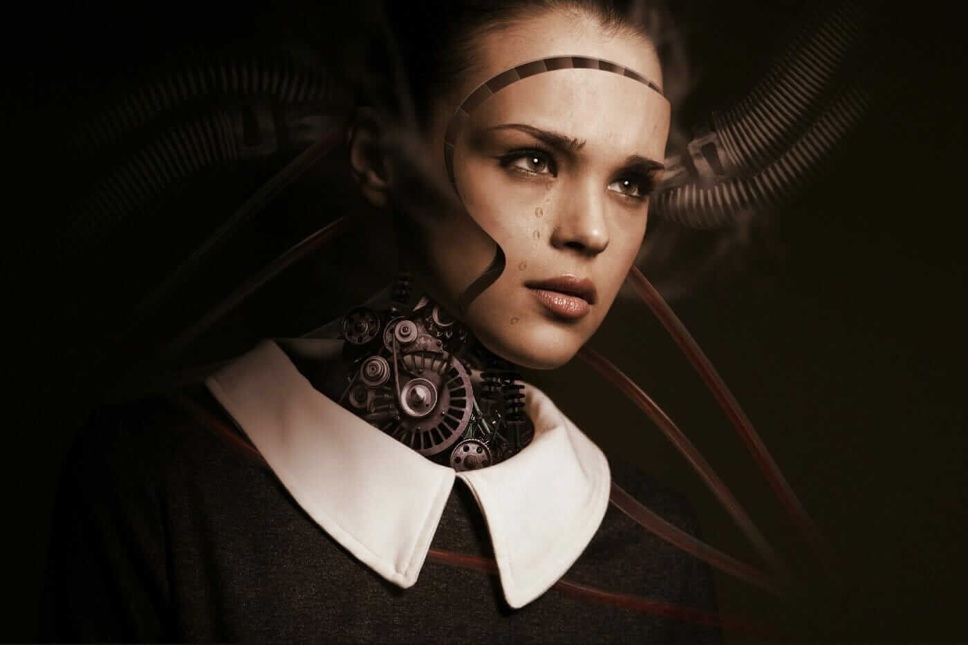 Expert en machine learning